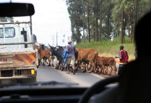 2323254090_073ede4f94_z